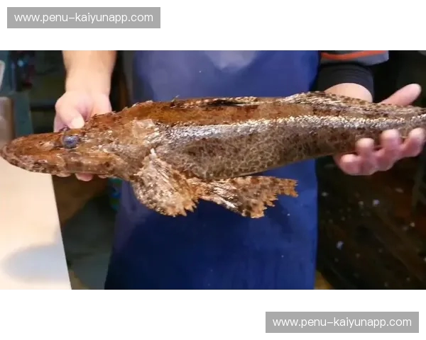 舌尖上的“不方便”：当美味遇上“鳄”的诱惑